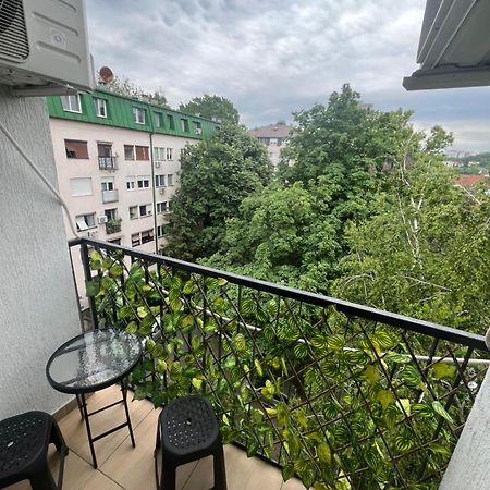 Pavlovic Apartman Belgrad Exteriör bild