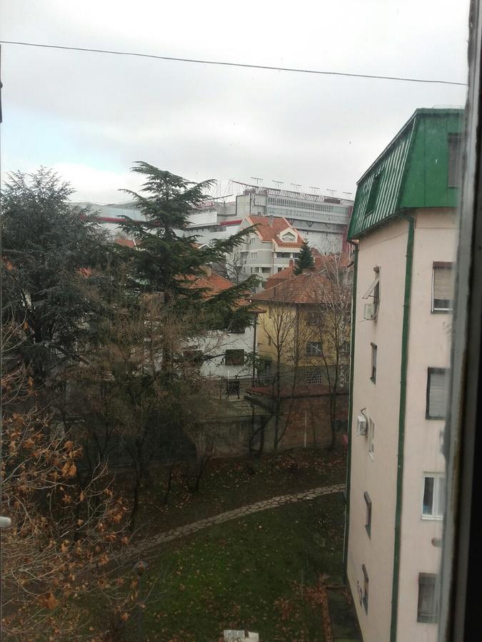 Pavlovic Apartman Belgrad Exteriör bild