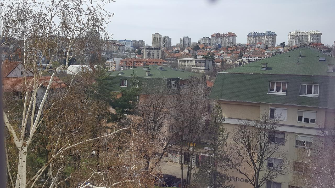 Pavlovic Apartman Belgrad Exteriör bild